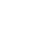 nick collins real estate logo