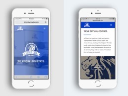 website design mobile silver lion