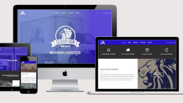 responsive website design silver lion