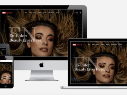 website redesign salon encolor