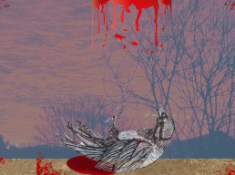 dead crow laying in blood, with dark ominous sky