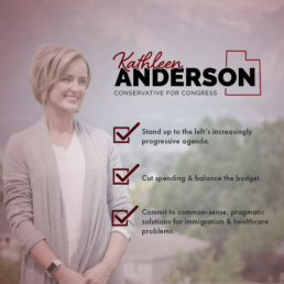 Kathleen Anderson political advertising design