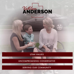 Kathleen Anderson political advertising design