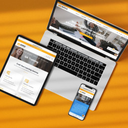 Apex QA e-commerce website redesign