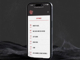 iphone15-1 6 Seven Mile Post website redesign