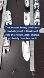 freedom boat club social creation