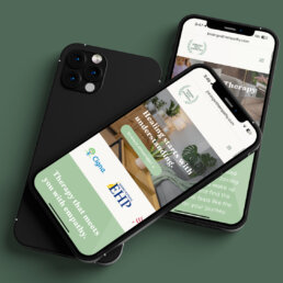 therapy clinic web design & SEO