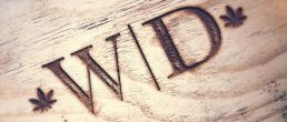 Engraved Wood Mock Up 7 Wilmington Dispensary Brand Design