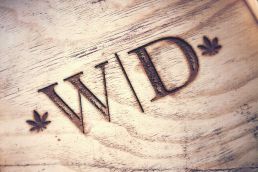 Wilmington Dispensary Brand Design