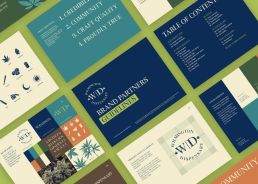 WD-brand-style-guide 2 wilmington dispensary brand design style guide brand design services brand strategy