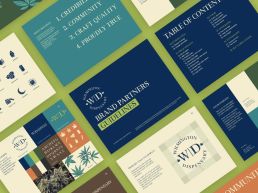 WD-brand-style-guide 5 wilmington dispensary brand design style guide brand design services