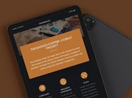 Terra Metals mining website design
