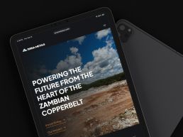 Terra Metals mining website design