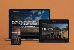 responsive-terra 2 Terra Metals mining website design