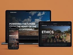 Terra Metals mining website design