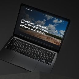 Terra Metals mining website design