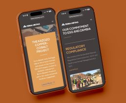 Terra Metals mining website design