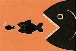 Boutique Agency vs Big Agency: Which One Actually Grows Your Brand 12 boutique agency vs big agency