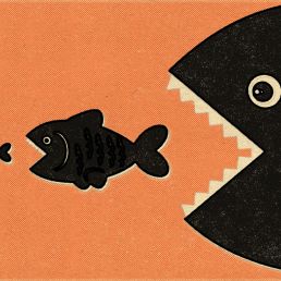 Boutique Agency vs Big Agency: Which One Actually Grows Your Brand 47 boutique agency vs big agency