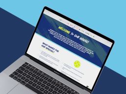 house of pickleball website redesign