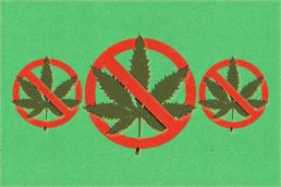 Hemp Ban 2026: If your hemp product disappeared tomorrow, would your brand survive? 2 cannabis and hemp ban 2026