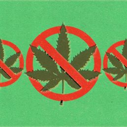 Hemp Ban 2026: If your hemp product disappeared tomorrow, would your brand survive? 39 cannabis and hemp ban 2026