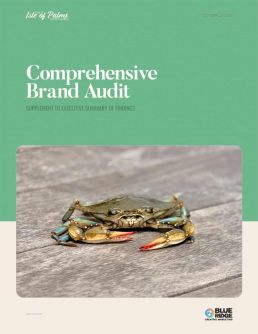 brand-audit-cover 5 Isle of Palms tourism branding research